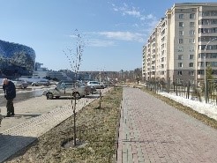 Территория прилегающая к зданию